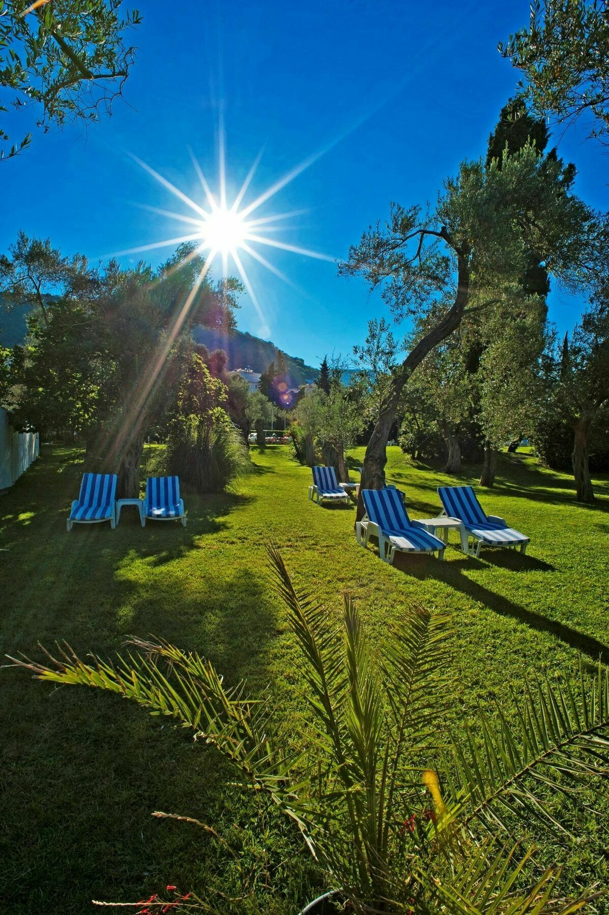 Hotel Rivijera Petrovac Ngoại thất bức ảnh